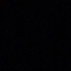 Meet your Posher, Amelie